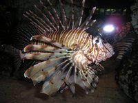 Click to see big picture (2048x1536 pixels; 632 KB)