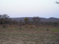 Click to see big picture (2048x1536 pixels; 640 KB)