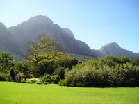 Click to see big picture (2048x1536 pixels; 603 KB)