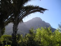 Click to see big picture (2048x1536 pixels; 633 KB)