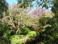 Click to see big picture (2048x1536 pixels; 684 KB)