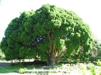 Click to see big picture (2048x1536 pixels; 671 KB)