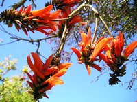 Click to see big picture (2048x1536 pixels; 625 KB)