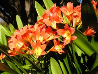 Click to see big picture (2048x1536 pixels; 620 KB)