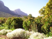 Click to see big picture (2048x1536 pixels; 655 KB)