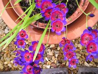 Click to see big picture (2048x1536 pixels; 664 KB)