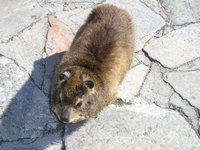 Click to see big picture (2048x1536 pixels; 663 KB)