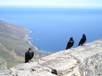 Click to see big picture (2048x1536 pixels; 523 KB)