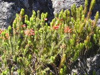 Click to see big picture (2048x1536 pixels; 669 KB)