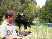 Click to see big picture (2048x1536 pixels; 669 KB)