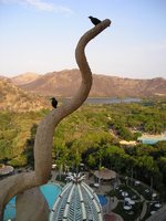 Click to see big picture (1536x2048 pixels; 609 KB)