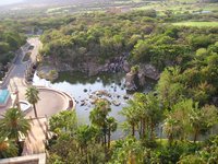 Click to see big picture (2048x1536 pixels; 680 KB)