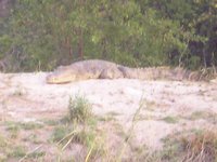 Click to see big picture (2048x1536 pixels; 483 KB)