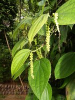 Klikni pro zv�t�en� na obrazovku