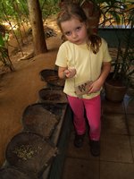 Klikni pro zv�t�en� na obrazovku