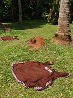 Klikni pro zv�t�en� na obrazovku