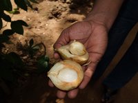 Klikni pro zv�t�en� na obrazovku