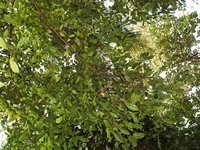 Klikni pro zv�t�en� na obrazovku