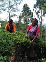 Klikni pro zv�t�en� na obrazovku