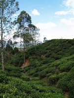 Klikni pro zv�t�en� na obrazovku