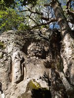 Klikni pro zv�t�en� na obrazovku