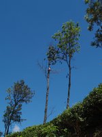 Klikni pro zv�t�en� na obrazovku