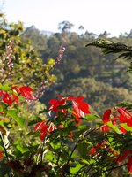 Klikni pro zv�t�en� na obrazovku