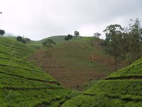 Klikni pro zv�t�en� na obrazovku