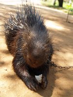 Klikni pro zv�t�en� na obrazovku