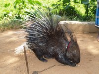 Klikni pro zv�t�en� na obrazovku