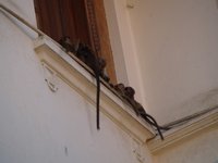 Klikni pro zv�t�en� na obrazovku