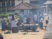 Klikni pro zv�t�en� na obrazovku