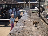 Klikni pro zv�t�en� na obrazovku