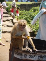 Klikni pro zv�t�en� na obrazovku