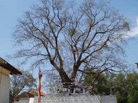 Klikni pro zv�t�en� na obrazovku