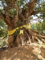 Klikni pro zv�t�en� na obrazovku