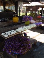 Klikni pro zv�t�en� na obrazovku