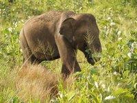 Klikni pro zv�t�en� na obrazovku