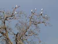 Klikni pro zv�t�en� na obrazovku