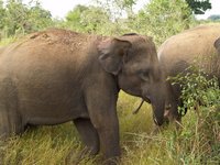 Klikni pro zv�t�en� na obrazovku