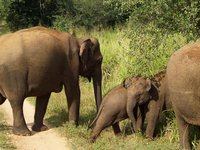 Klikni pro zv�t�en� na obrazovku