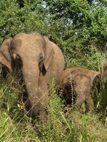 Klikni pro zv�t�en� na obrazovku