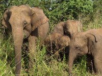 Klikni pro zv�t�en� na obrazovku