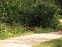 Klikni pro zv�t�en� na obrazovku