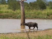 Klikni pro zv�t�en� na obrazovku