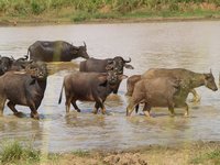 Klikni pro zv�t�en� na obrazovku