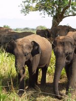 Klikni pro zv�t�en� na obrazovku