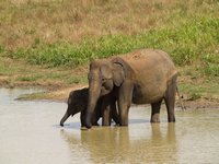 Klikni pro zv�t�en� na obrazovku