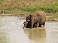 Klikni pro zv�t�en� na obrazovku