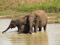 Klikni pro zv�t�en� na obrazovku